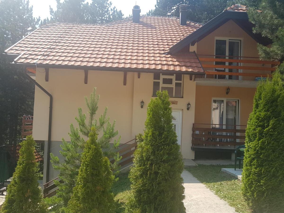 Mountain House Tara Apartmani Nikolic 卡鲁德杰尔斯科巴尔 外观 照片